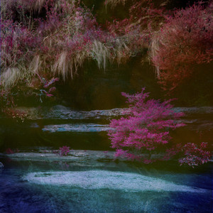 欧美婬乱厨房另类视频
