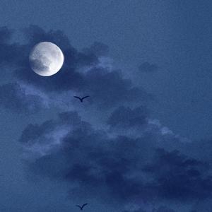 欧美婬乱厨房另类视频
